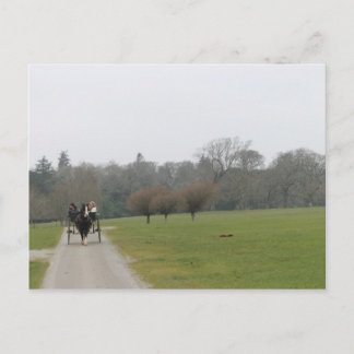 Carte Postale Chambre de Muckross, Killarney Irlande