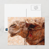 Carte Postale chameau (Devant / Derrière)