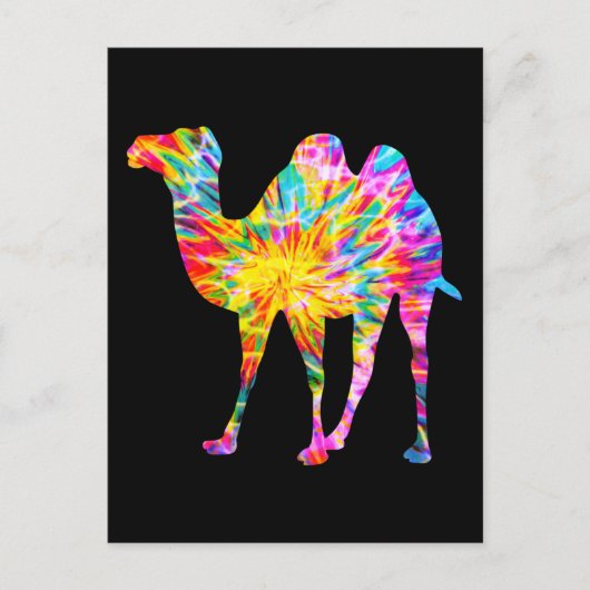 CARTE POSTALE CHAMEAU TIE DYE (Devant)