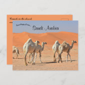 Carte Postale Chameaux dans le désert Arabie Saoudite (Devant / Derrière)