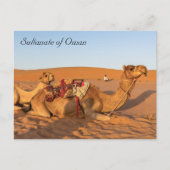 Carte Postale Chameaux dans le désert d'Oman (Devant)