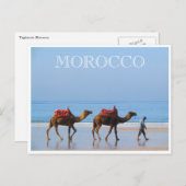 Carte Postale chameaux de plage du maroc (Devant / Derrière)