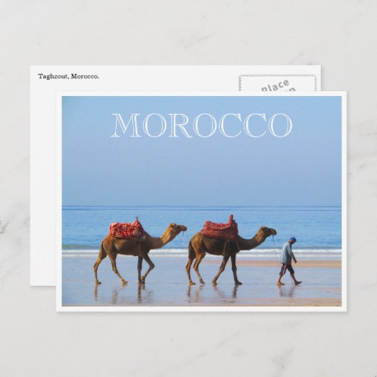 Carte Postale chameaux de plage du maroc (Devant / Derrière)