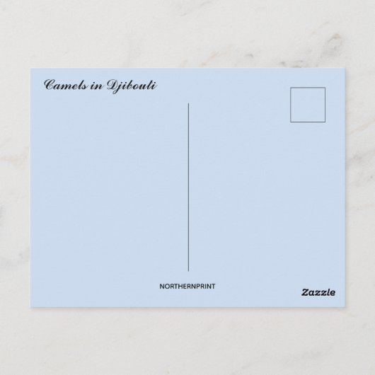 Carte Postale Chameaux reposant au soleil à Djibouti (Dos)