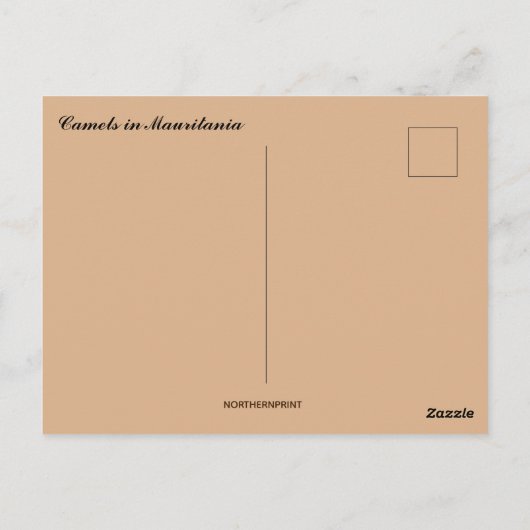 Carte Postale Chameaux reposant en Mauritanie (Dos)