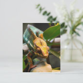 Carte Postale Chameleon (Debout devant)