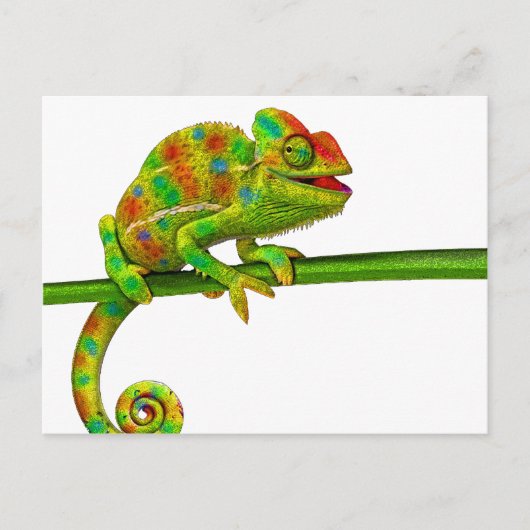 Carte Postale Chameleon (Devant)