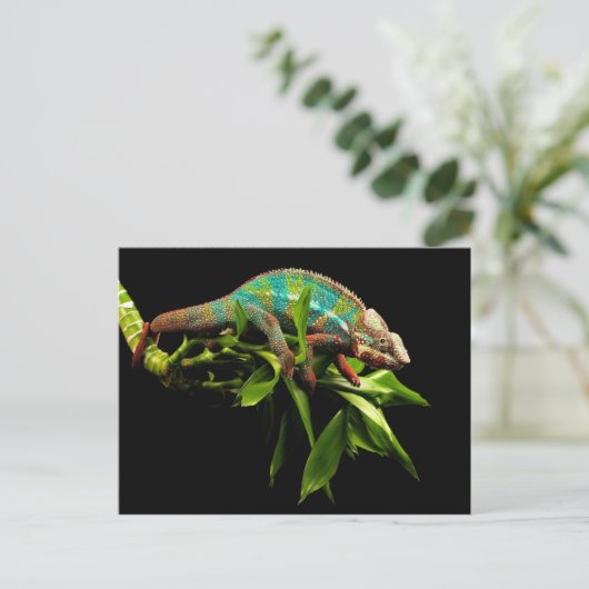 Carte Postale Chameleon (Debout devant)