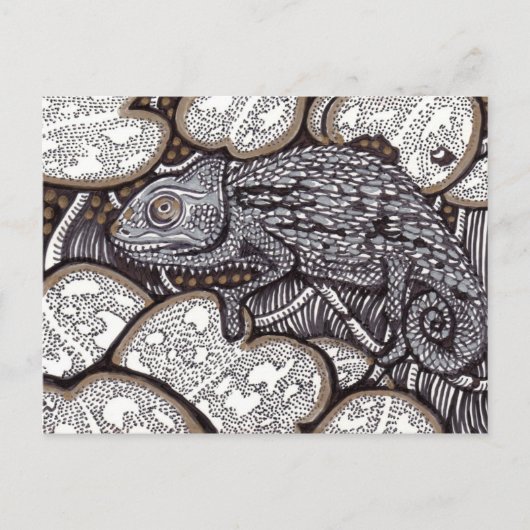 Carte Postale Chameleon (Devant)