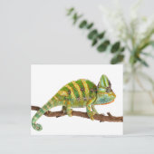 Carte Postale Chameleon (Debout devant)