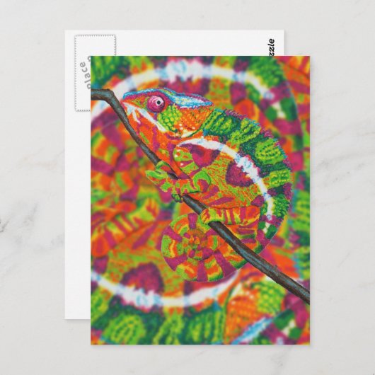 Carte Postale Chameleon caché (Devant / Derrière)