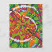 Carte Postale Chameleon caché (Devant)