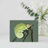 Carte Postale Chameleon de Jackson (Debout devant)