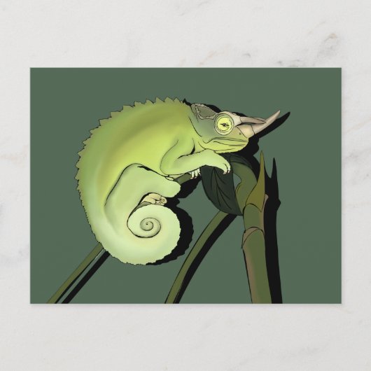 Carte Postale Chameleon de Jackson (Devant)