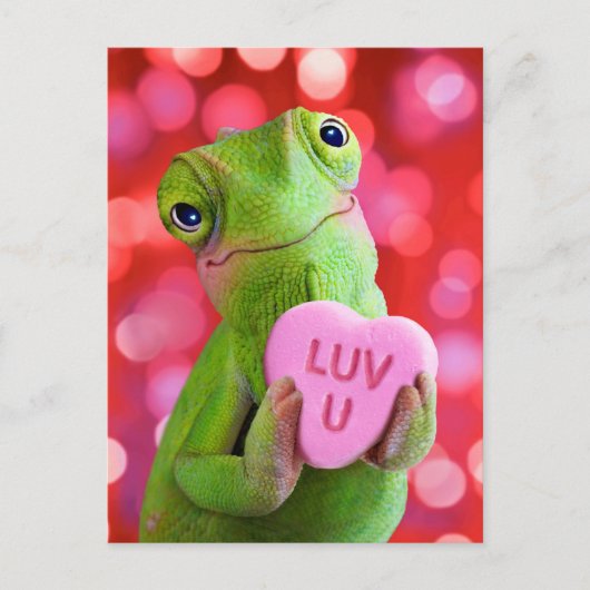 Carte Postale Chameleon Heart (Luv U) (Devant)