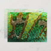 Carte Postale Chameleon Skin (Devant / Derrière)