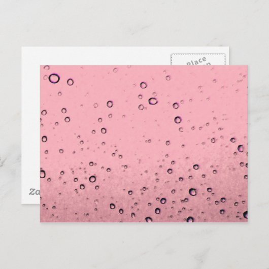 Carte postale Chamgagne rose (Devant / Derrière)