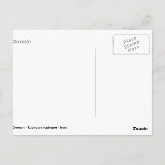 Carte Postale Chamois dans l'herbe (Dos)