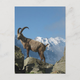 Carte Postale Chamonix