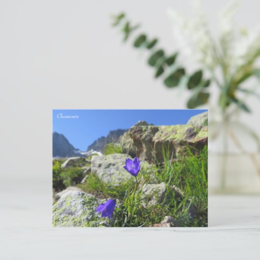 Carte Postale Chamonix Alpes (Debout devant)