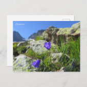 Carte Postale Chamonix Alpes (Devant / Derrière)