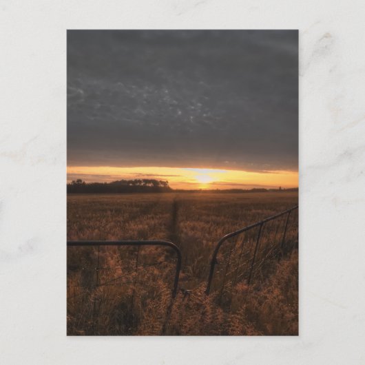 Carte Postale champ agricole (Devant)