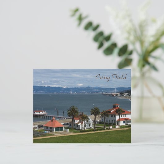 Carte Postale Champ critique (Debout devant)