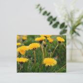 Carte Postale Champ Dandelion (Debout devant)