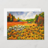 Carte Postale Champ de Black Eyed Susan (Devant / Derrière)