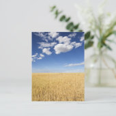 Carte Postale Champ de blé (Debout devant)