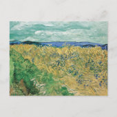 Carte Postale Champ de blé aux bleuets Vincent van Gogh (Devant)