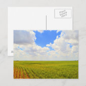 Carte Postale Champ de blé dans le comté de Scott, Kansas (Devant / Derrière)