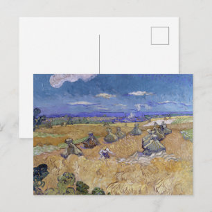 Carte Postale Champ de blé de Van Gogh - Récolte dorée Art