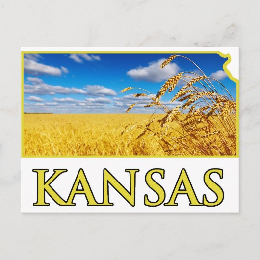 Carte Postale Champ de blé du Kansas (Devant)