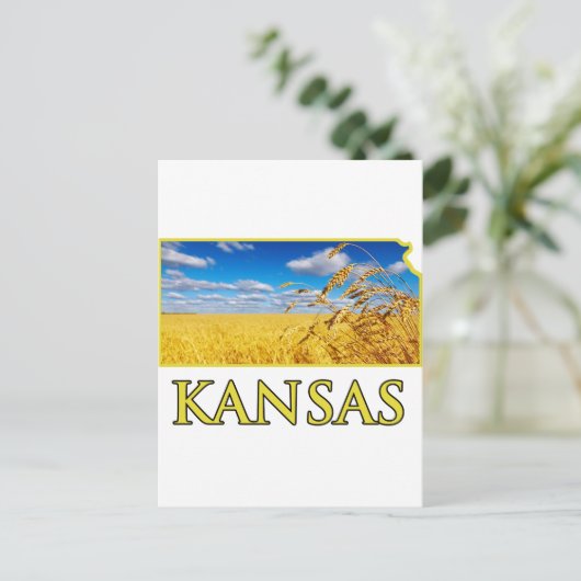 Carte Postale Champ de blé du Kansas (Debout devant)