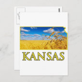 Carte Postale Champ de blé du Kansas (Devant / Derrière)
