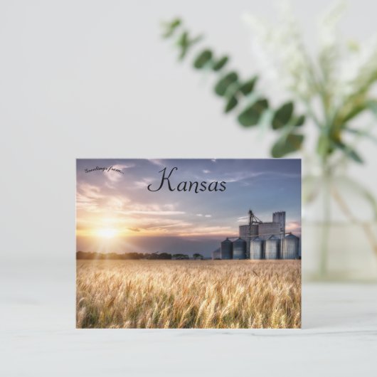 Carte Postale Champ de blé du Kansas (Debout devant)