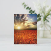 Carte Postale Champ de blé et couchers de soleil (Debout devant)