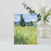 Carte Postale Champ de blé vert avec cyprès, (Debout devant)