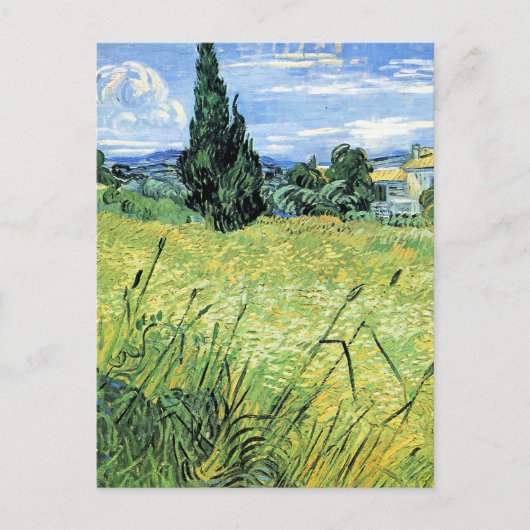 Carte Postale Champ de blé vert avec cyprès, (Devant)
