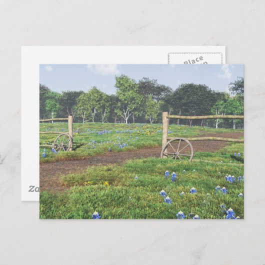 Carte Postale Champ de Bluebonnets (Devant / Derrière)