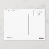 Carte Postale Champ de fleurs (Dos)