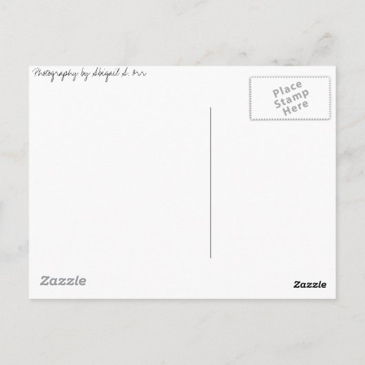 Carte Postale Champ de fleurs (Dos)