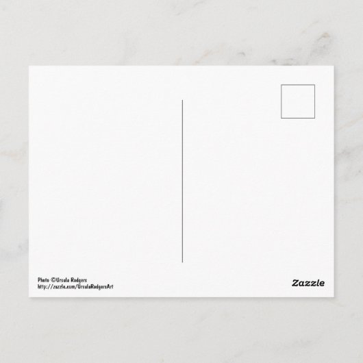 Carte Postale Champ de Fleurs (Dos)