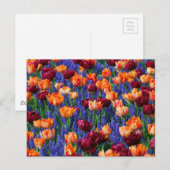 Carte Postale Champ de fleurs bleues, orange et rouges (Devant / Derrière)