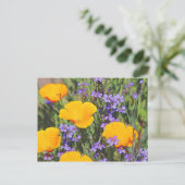 Carte Postale Champ de fleurs de printemps (Debout devant)