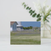 Carte postale champ de fleurs du phare (Debout devant)