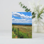 Carte Postale Champ de fleurs et de montagnes (Debout devant)