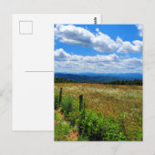Carte Postale Champ de fleurs et de montagnes (Devant / Derrière)