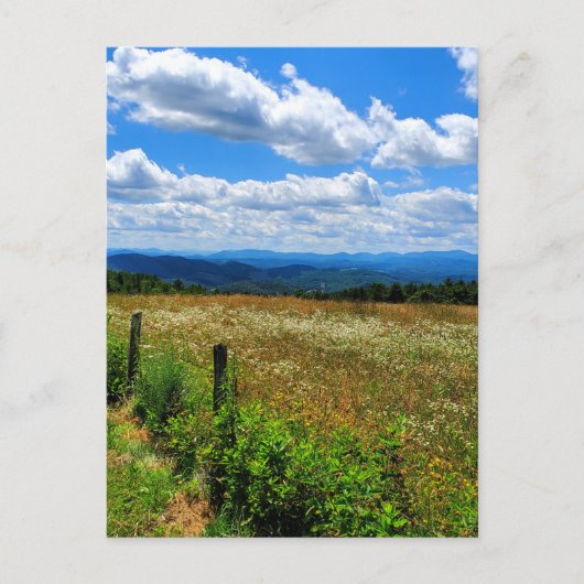 Carte Postale Champ de fleurs et de montagnes (Devant)